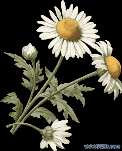 巨人配资 天津市共建汽车消费新生态创新发展大会