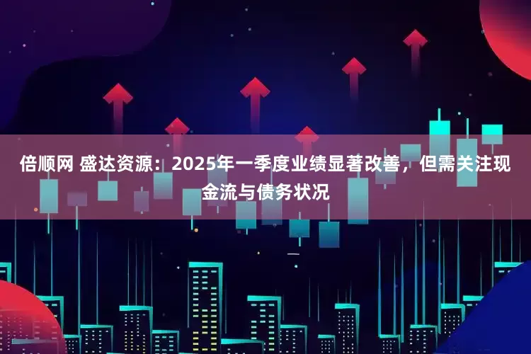 倍顺网 盛达资源：2025年一季度业绩显著改善，但需关注现金流与债务状况